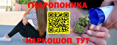 ПСИЛОЦИБИНОВЫЕ ГРИБЫ Заводоуковск