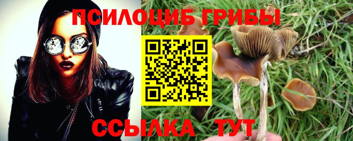 Галлюциногенные грибы мицелий  Псилоцибиновые грибы мицелий  Курчатов  Вход с VPN 
